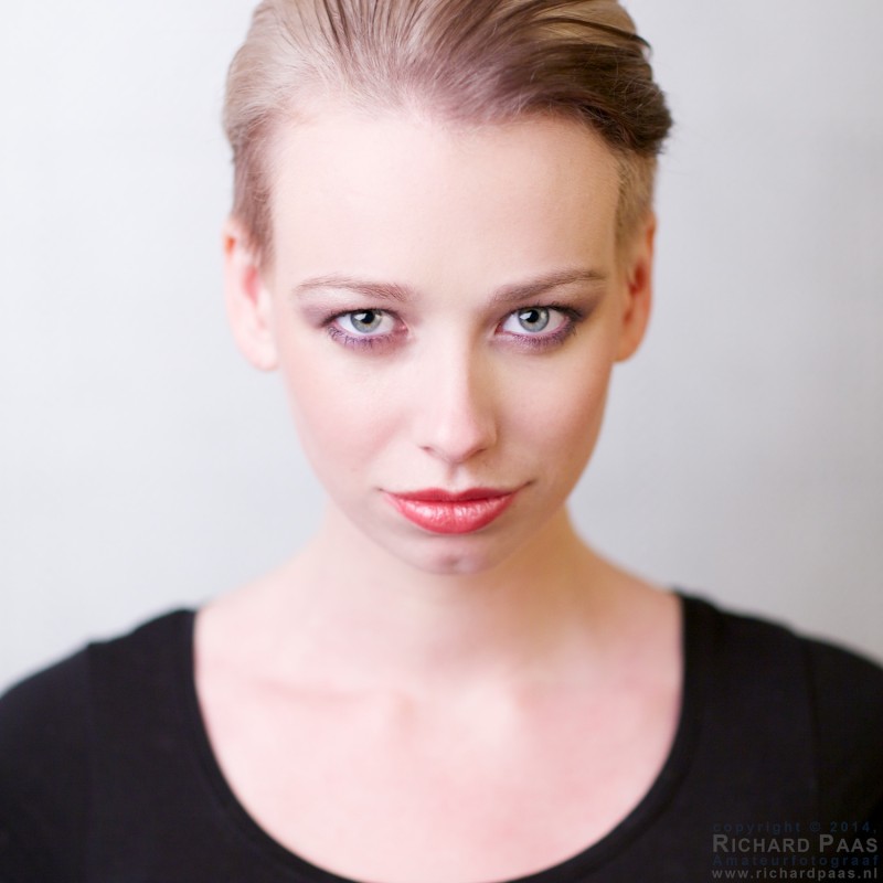 portraitpro studio 11 portraitpro studio 11