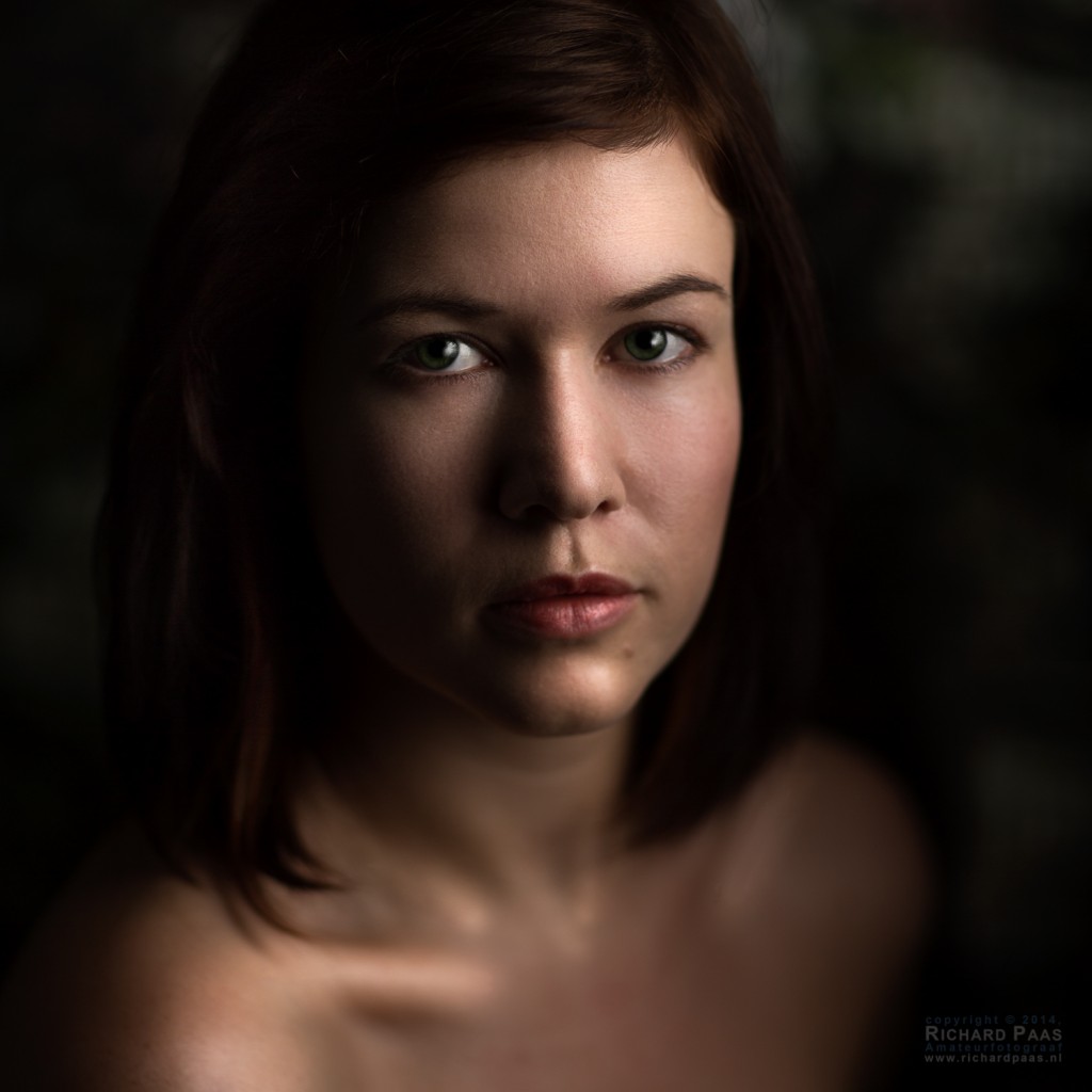 portraitpro studio 11 portraitpro studio 11