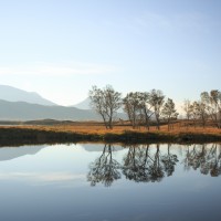 Glencoe