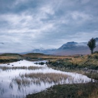 Glencoe