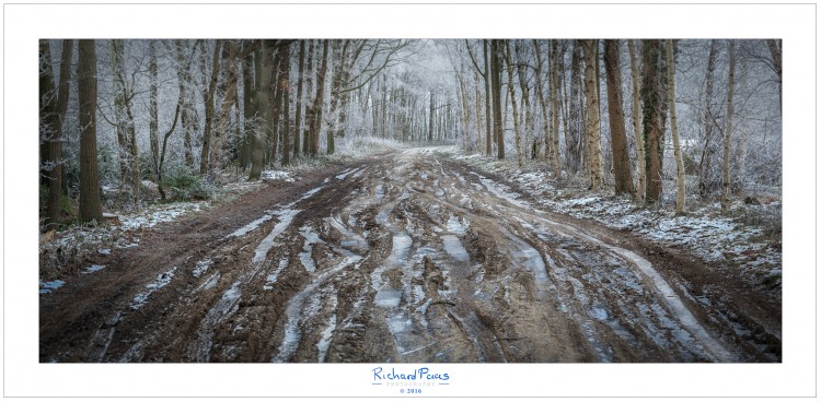 Frozen Tracks Strubben Kiphorstbosch